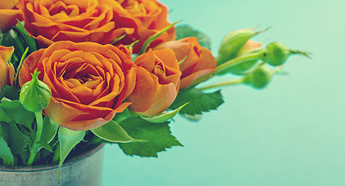 Kép — Ballagási csokrok, nőnapi virágok, névnapi, szülinapi virágcsokor